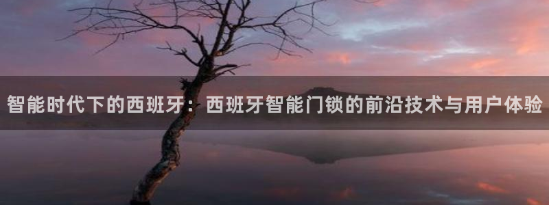开丰娱乐右7O667：智能时代下的西班牙：西班牙智能门锁的前