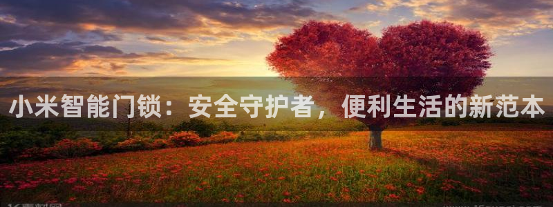 开丰娱乐主管：小米智能门锁：安全守护者，便利生活的新范本