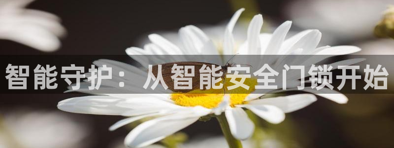 开丰娱乐怎么开转点：智能守护：从智能安全门锁开始