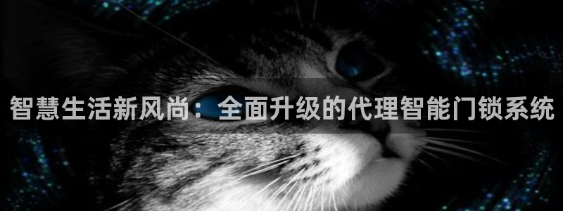 开丰娱乐官网招聘：智慧生活新风尚：全面升级的代理智能门锁系统