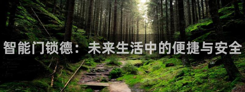 开丰娱乐登陆地址：智能门锁德：未来生活中的便捷与安全