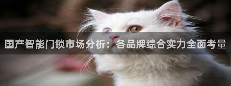 圩丰刚开的娱乐场所：国产智能门锁市场分析：各品牌综合实力全面