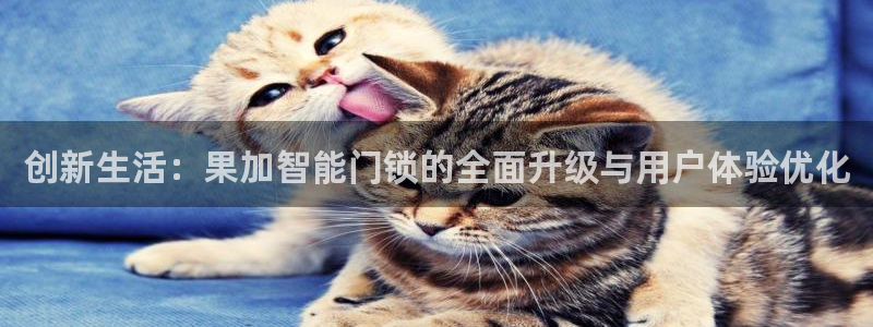 开丰娱乐万六七五一38：创新生活：果加智能门锁的全面升级与用