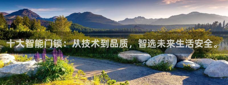 开丰娱乐右7O667：十大智能门锁：从技术到品质，智选未来生
