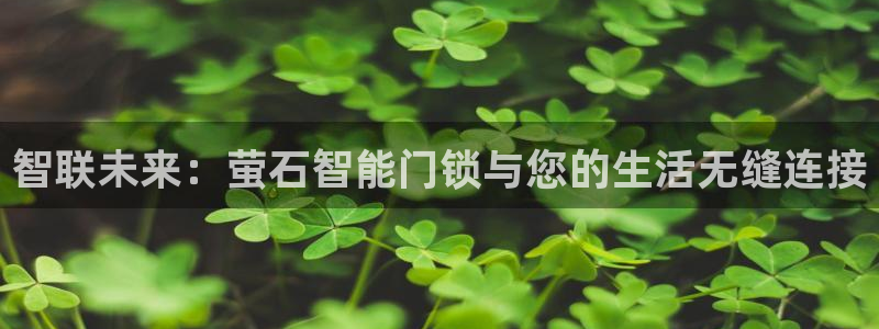 开丰娱乐登入地址在哪儿：智联未来：萤石智能门锁与您的生活无缝
