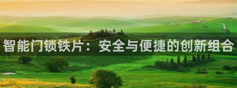 开丰娱乐官网首页：智能门锁铁片：安全与便捷的创新组合