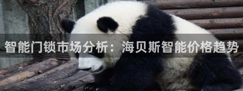 开丰娱乐登陆：智能门锁市场分析：海贝斯智能价格趋势