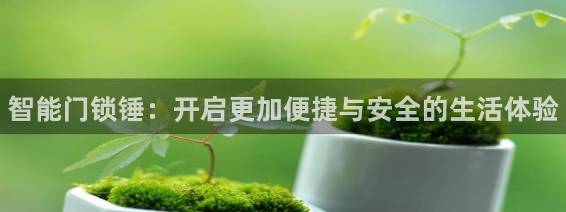 开丰娱乐天富娱乐：智能门锁锤：开启更加便捷与安全的生活体验