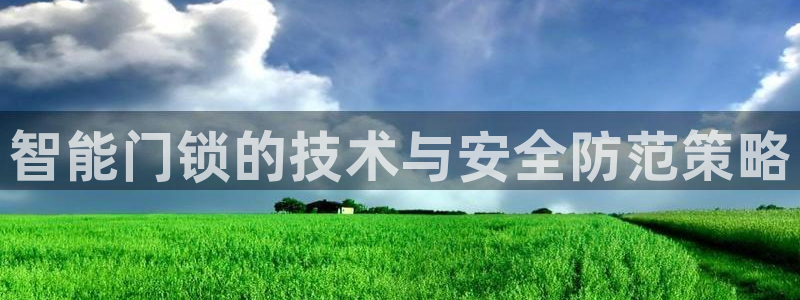 开丰娱乐前：智能门锁的技术与安全防范策略