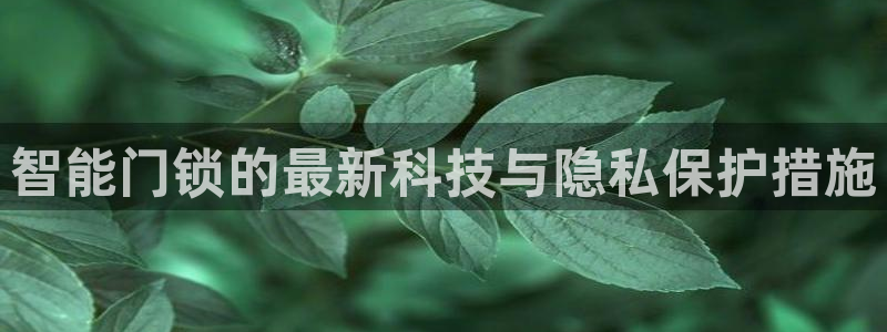 开丰娱乐上7O667：智能门锁的最新科技与隐私保护措施