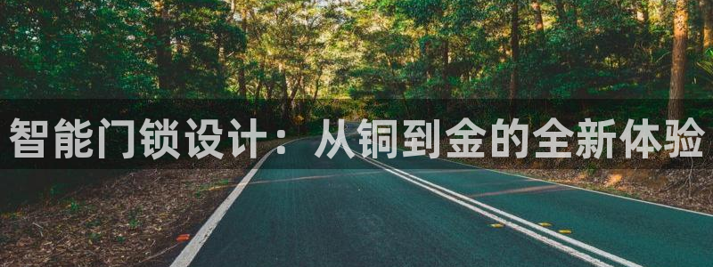 开丰娱乐平台地址查询：智能门锁设计：从铜到金的全新体验