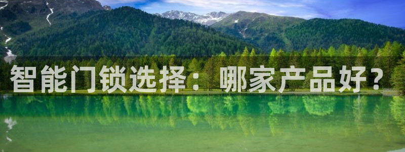 开丰娱乐官网：智能门锁选择：哪家产品好？
