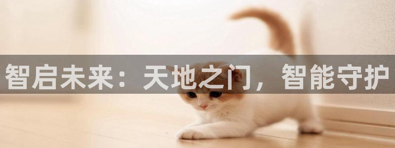 开丰娱乐注册资金多少：智启未来：天地之门，智能守护