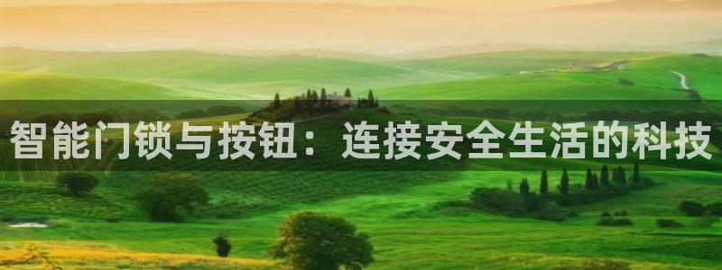 开丰娱乐怎么样：智能门锁与按钮：连接安全生活的科技