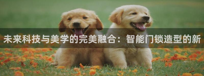 开丰娱乐下载安装：未来科技与美学的完美融合：智能门锁造型的新