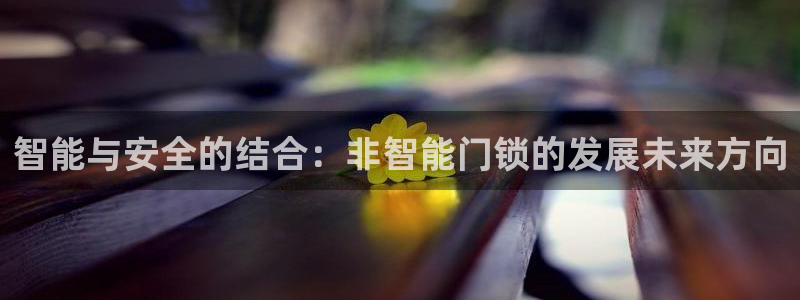 开丰娱乐体育平台：智能与安全的结合：非智能门锁的发展未来方向