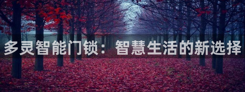 开丰娱乐违法吗：多灵智能门锁：智慧生活的新选择