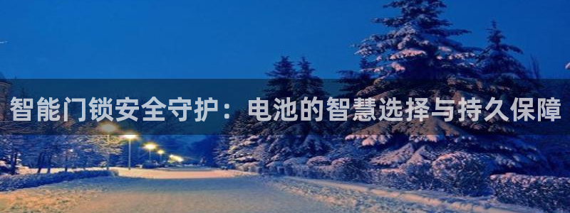 开丰娱乐予 7O935：智能门锁安全守护：电池的智慧选择与持