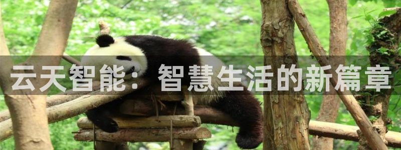 开丰娱乐靠谱吗：云天智能：智慧生活的新篇章