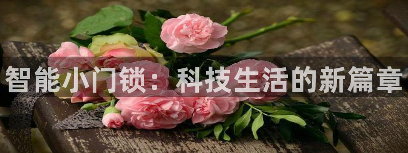 开丰娱乐寸67五壹叁八：智能小门锁：科技生活的新篇章