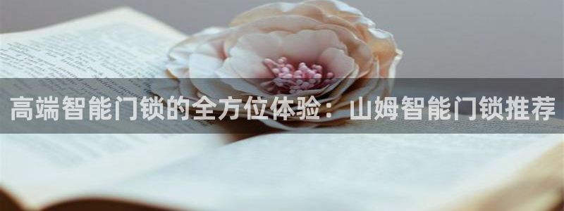 开丰娱乐官方app：高端智能门锁的全方位体验：山姆智能门锁推