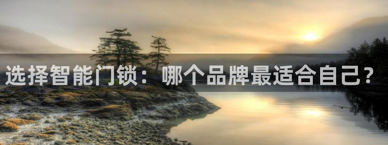 开丰娱乐日：选择智能门锁：哪个品牌最适合自己？