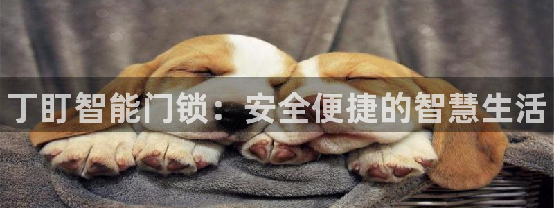 开丰娱乐月：丁盯智能门锁：安全便捷的智慧生活