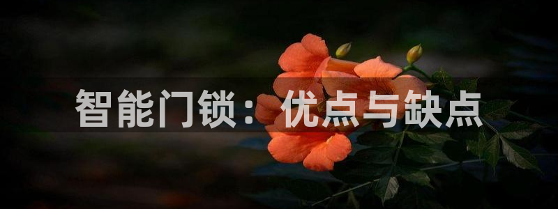 开丰娱乐官网登录网址：智能门锁：优点与缺点