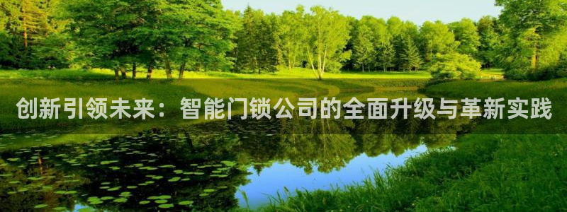 开丰娱乐予 7O935：创新引领未来：智能门锁公司的全面升级