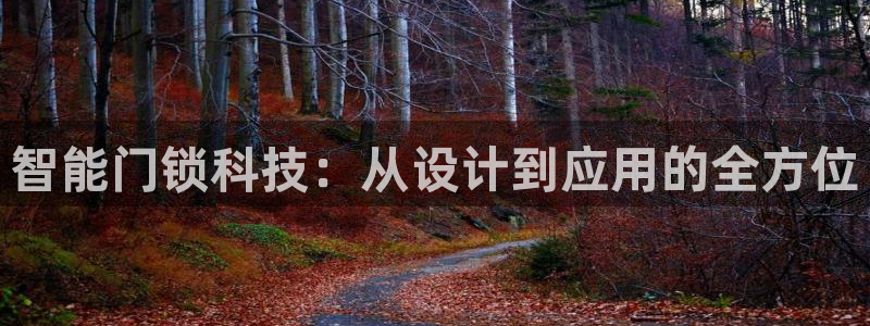 开丰娱乐不开了吗：智能门锁科技：从设计到应用的全方位