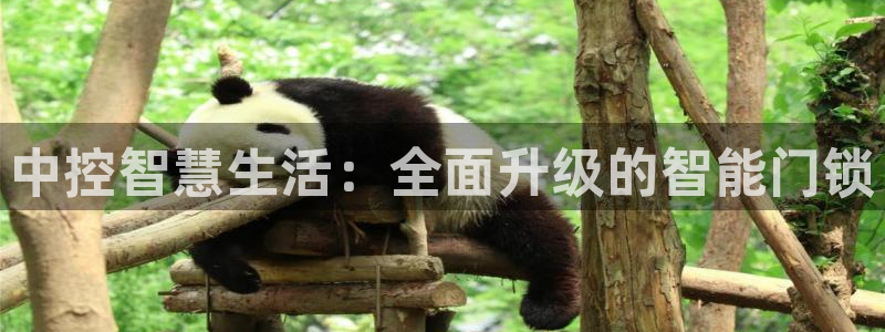 开丰娱乐千67五壹叁八：中控智慧生活：全面升级的智能门锁