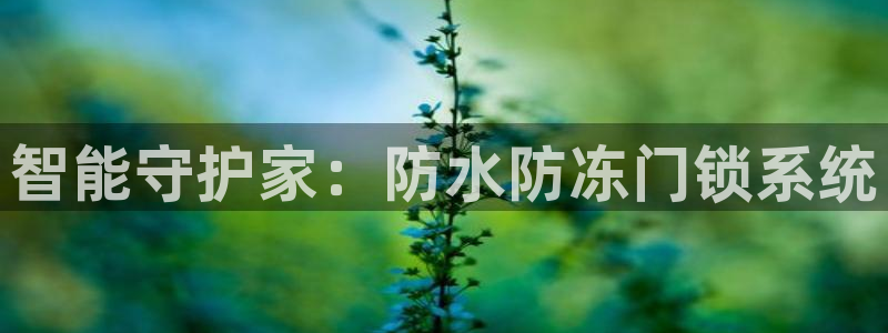开丰娱乐注册资金多少：智能守护家：防水防冻门锁系统