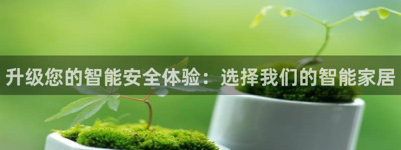 如何注册开丰娱乐账号：升级您的智能安全体验：选择我们的智能家