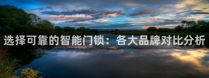 开丰娱乐天：选择可靠的智能门锁：各大品牌对比分析