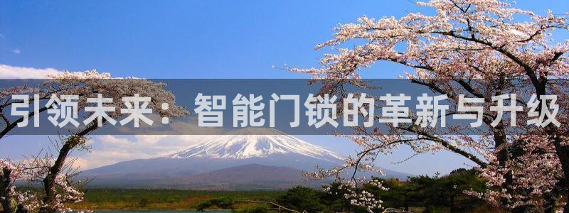 开丰娱乐平台注册地址：引领未来：智能门锁的革新与升级