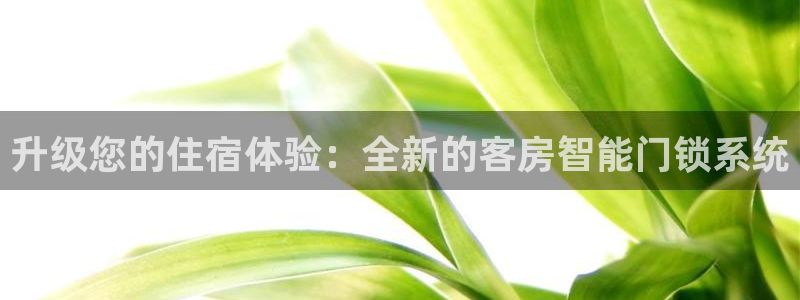 开丰娱乐网官网注册入口：升级您的住宿体验：全新的客房智能门锁