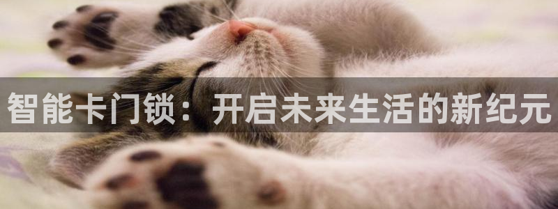 开丰娱乐优七九九47：智能卡门锁：开启未来生活的新纪元