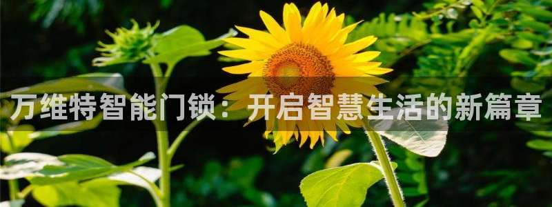 开丰娱乐行业恢复时间：万维特智能门锁：开启智慧生活的新篇章