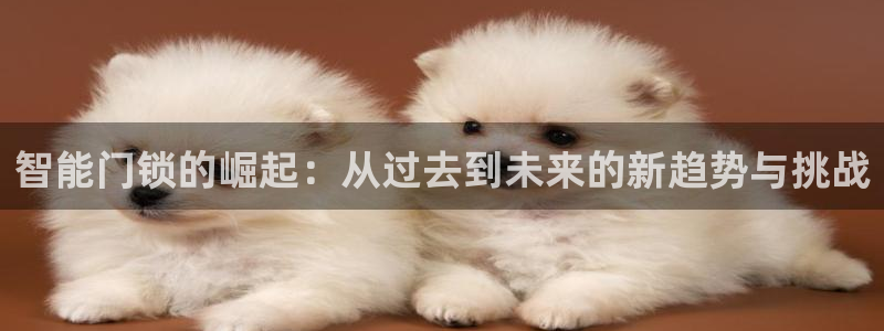 开丰娱乐后：智能门锁的崛起：从过去到未来的新趋势与挑战