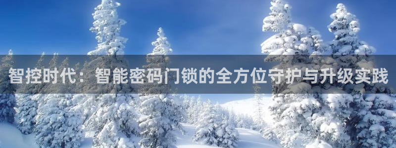 开丰娱乐联系q徽22212：智控时代：智能密码门锁的全方位守