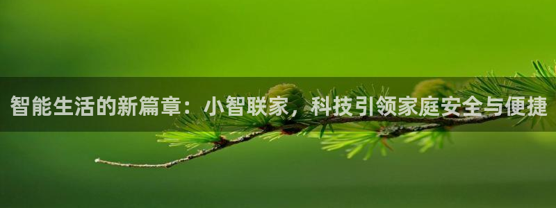 开丰娱乐最新活动：智能生活的新篇章：小智联家，科技引领家庭安