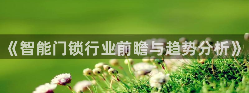 开丰娱乐登入地址在哪里：《智能门锁行业前瞻与趋势分析》