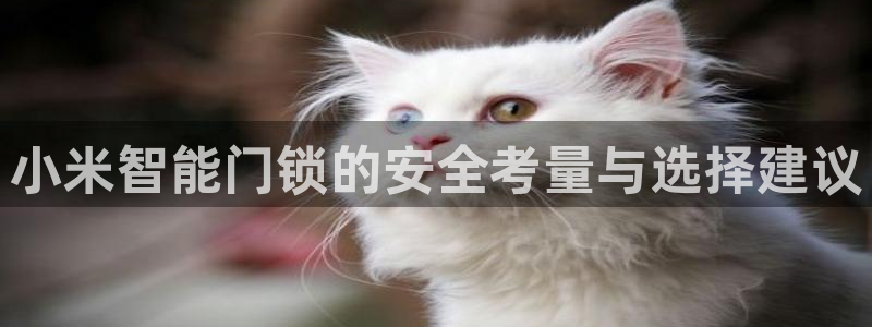 开丰娱乐上：小米智能门锁的安全考量与选择建议