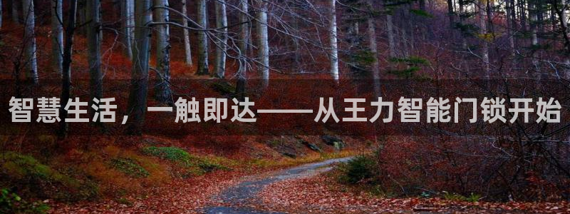 开丰娱乐网址：智慧生活，一触即达——从王力智能门锁开始
