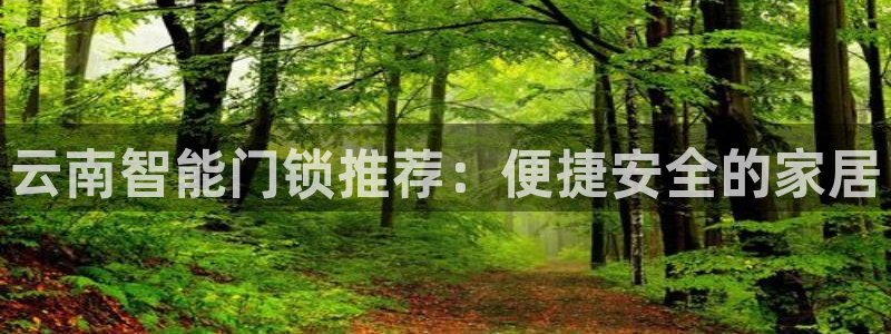 开丰娱乐网官网注册入口：云南智能门锁推荐：便捷安全的家居
