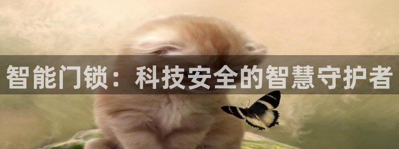 开丰娱乐咋7O777：智能门锁：科技安全的智慧守护者