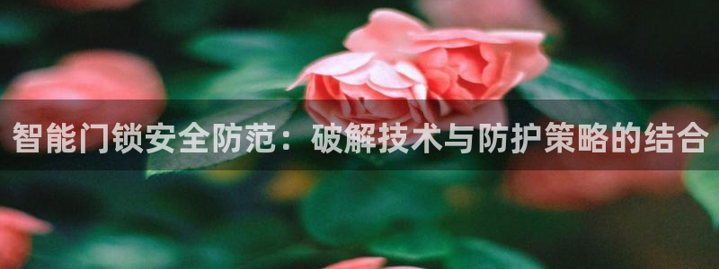开丰娱乐千67五壹叁八：智能门锁安全防范：破解技术与防护策略