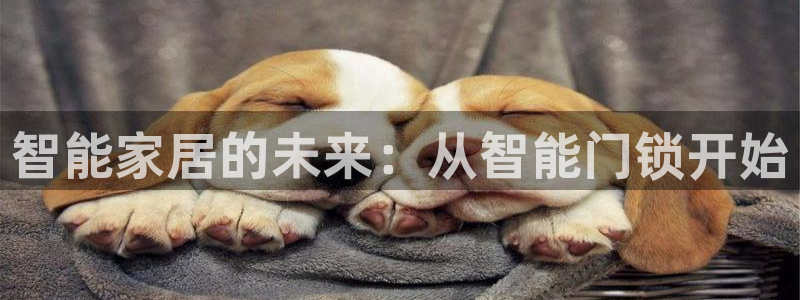 开丰娱乐注册：智能家居的未来：从智能门锁开始