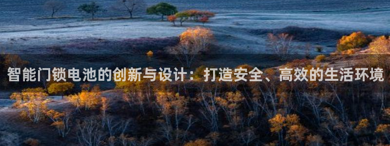 开丰娱乐平台地址在哪里：智能门锁电池的创新与设计：打造安全、
