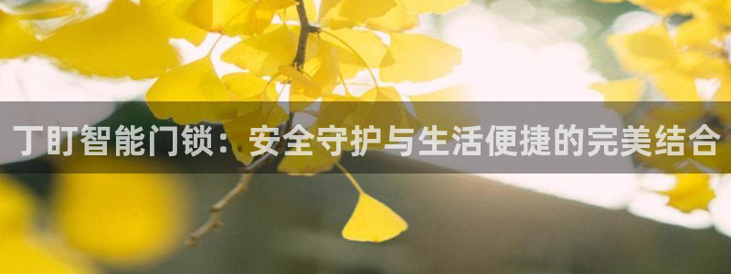 开丰娱乐日7O667：丁盯智能门锁：安全守护与生活便捷的完美